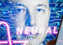 Singes morts et faux témoignages: Elon Musk en route vers un scandale Neuralink | korii.